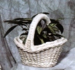Spring Flower Basket Planter