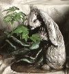Cabbage Rabbit Planter