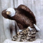 Standing Eagle
