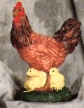 Chicken w/ Chicks